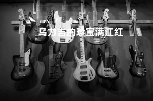 乌力吉的珍宝 - 满江红