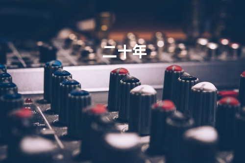 二十年