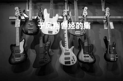 于凤翔-曾经的痛