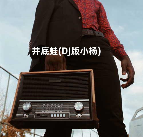 井底蛙 (DJ版-小杨)