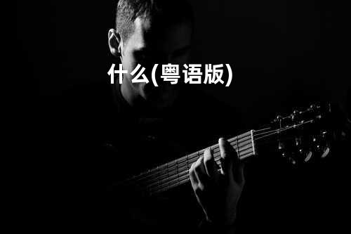什么(粤语版)