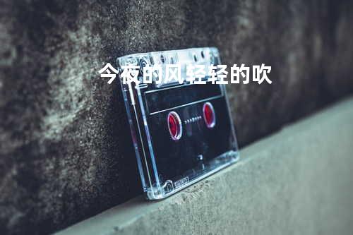 今夜的风轻轻的吹