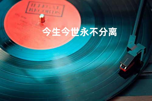 今生今世永不分离