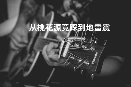 从桃花源竟踩到地雷震