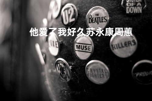 他爱了我好久 - 苏永康&周蕙