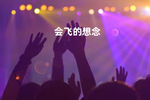 会飞的想念