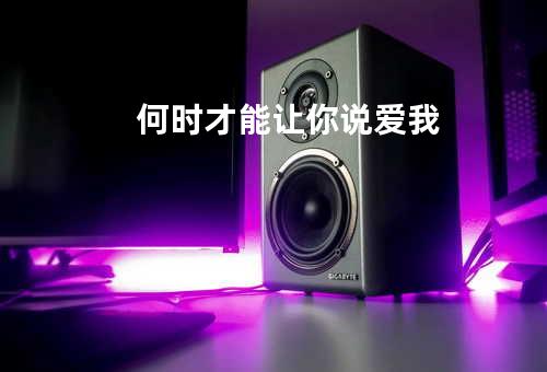 何时才能让你说爱我