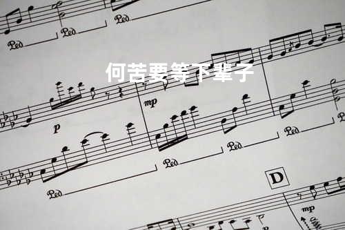 何苦要等下辈子