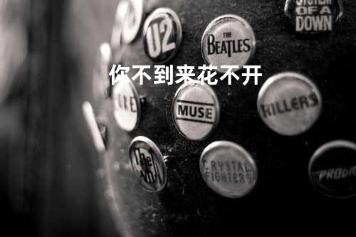 你不到来花不开
