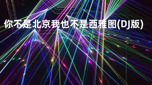 你不是北京我也不是西雅图 (DJ版)