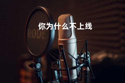 你为什么不上线