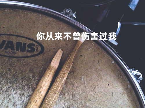 你从来不曾伤害过我