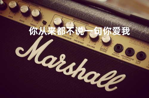 你从来都不说一句你爱我