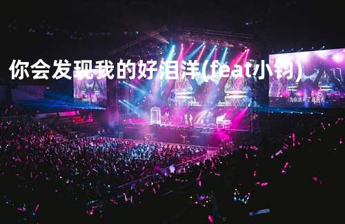 你会发现我的好 泪洋 (feat.小钧)