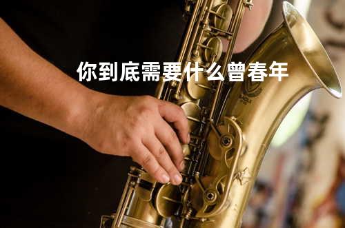 你到底需要什么 - 曾春年