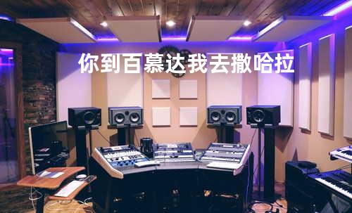 你到百慕达 我去撒哈拉