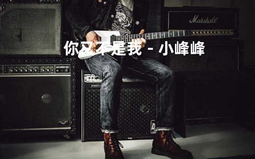 你又不是我 - 小峰峰