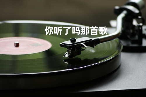 你听了吗 那首歌