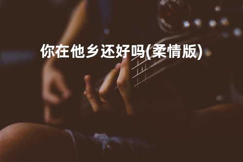 你在他乡还好吗(柔情版)
