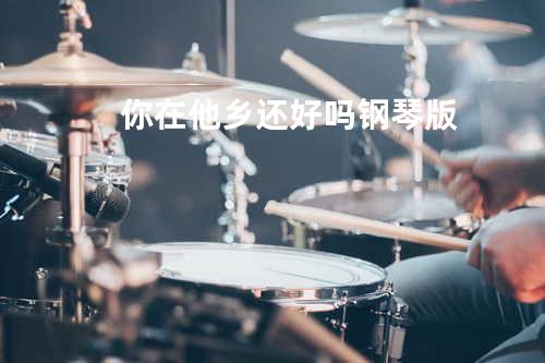 你在他乡还好吗 钢琴版