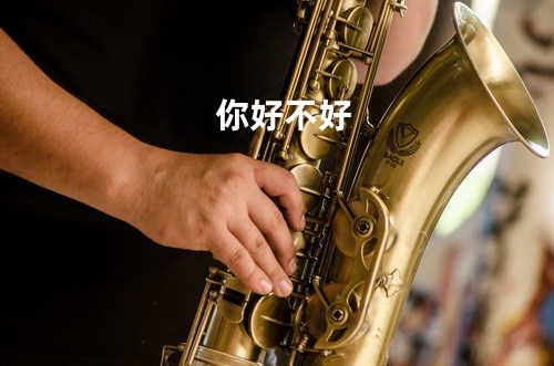你好不好