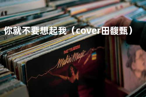 你就不要想起我(cover 田馥甄)