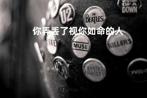 你弄丢了视你如命的人