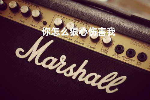 你怎么狠心伤害我