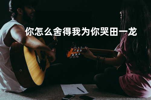 你怎么舍得我为你哭 - 田一龙