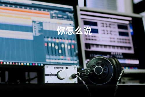 你怎么说