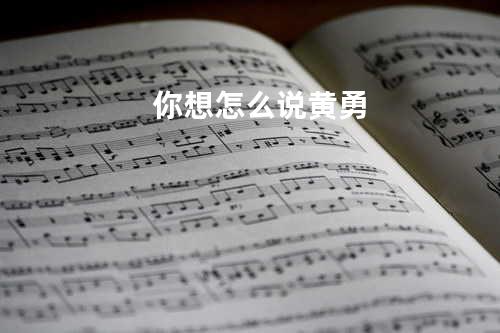 你想怎么说 - 黄勇