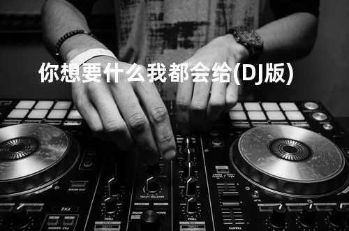 你想要什么我都会给(DJ版)