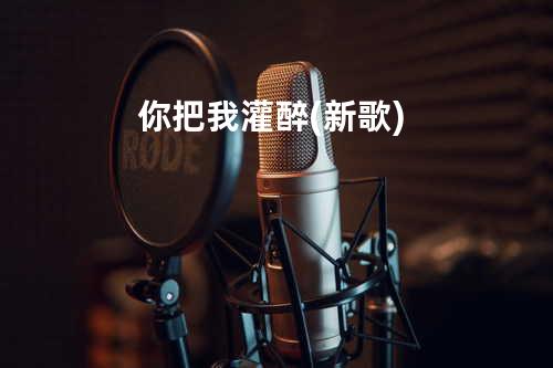 你把我灌醉 (新歌)