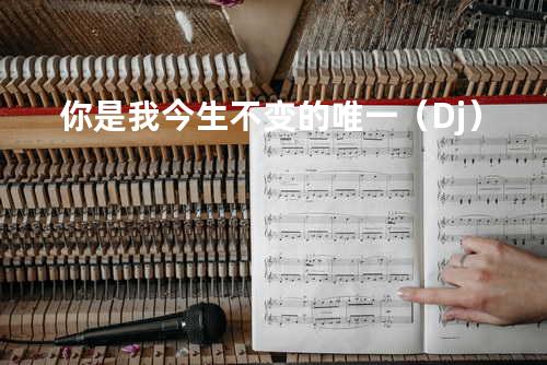 你是我今生不变的唯一(Dj)