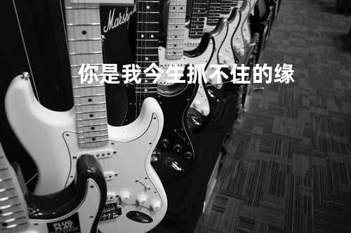 你是我今生抓不住的缘