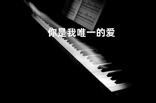你是我唯一的爱
