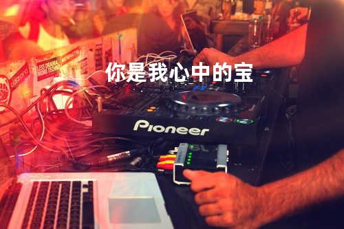 你是我心中的宝