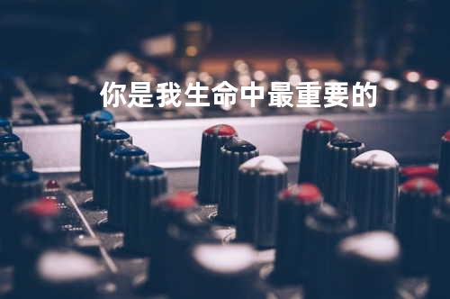 你是我生命中最重要的
