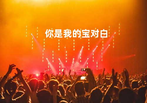 你是我的宝 对白