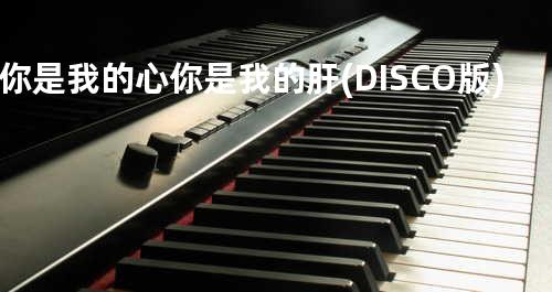 你是我的心 你是我的肝 (DISCO版)