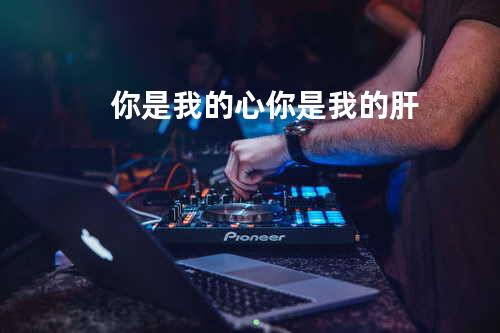 你是我的心你是我的肝