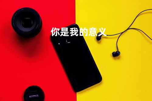 你是我的意义