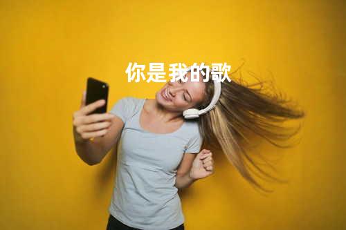 你是我的歌
