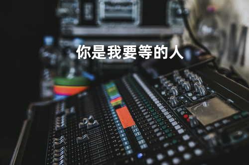 你是我要等的人