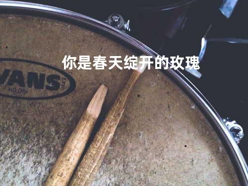 你是春天绽开的玫瑰