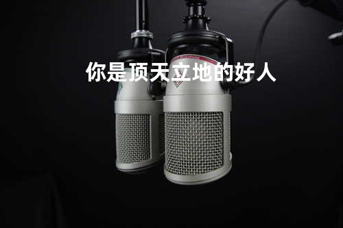 你是顶天立地的好人