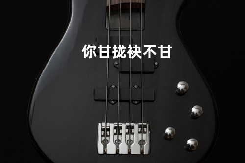 你甘拢袂不甘