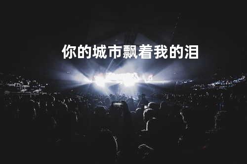 你的城市飘着我的泪