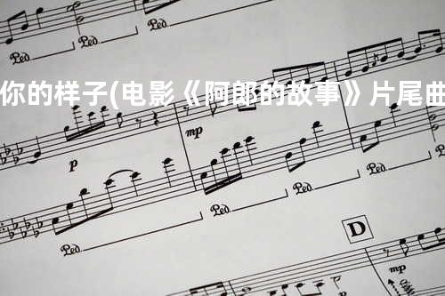 你的样子 (电影《阿郎的故事 》片尾曲)