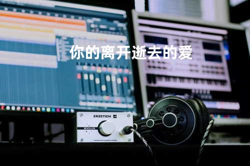 你的离开 逝去的爱